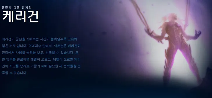 파일포켓 이미지