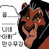 파일포켓 이미지
