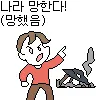 파일포켓 이미지
