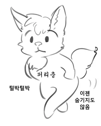 파일포켓 이미지