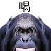 파일포켓 이미지