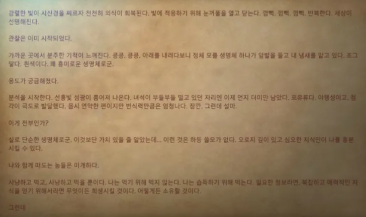 파일포켓 이미지