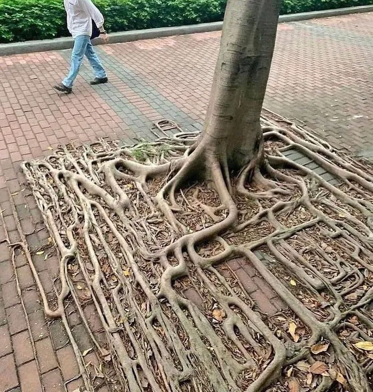 파일포켓 이미지