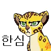 파일포켓 이미지
